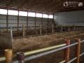 Dry Cow Barn